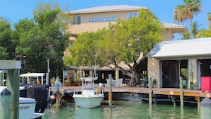 A waterfront property with a building labeled "Coconut Mallory," docked boats, and a tree-lined dock area.