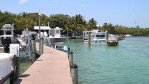 A dock with boats, a wooden walkway, and a water body with palm trees in the background.