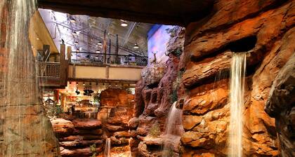 Silverton Casino Lodge - Newly Renovated