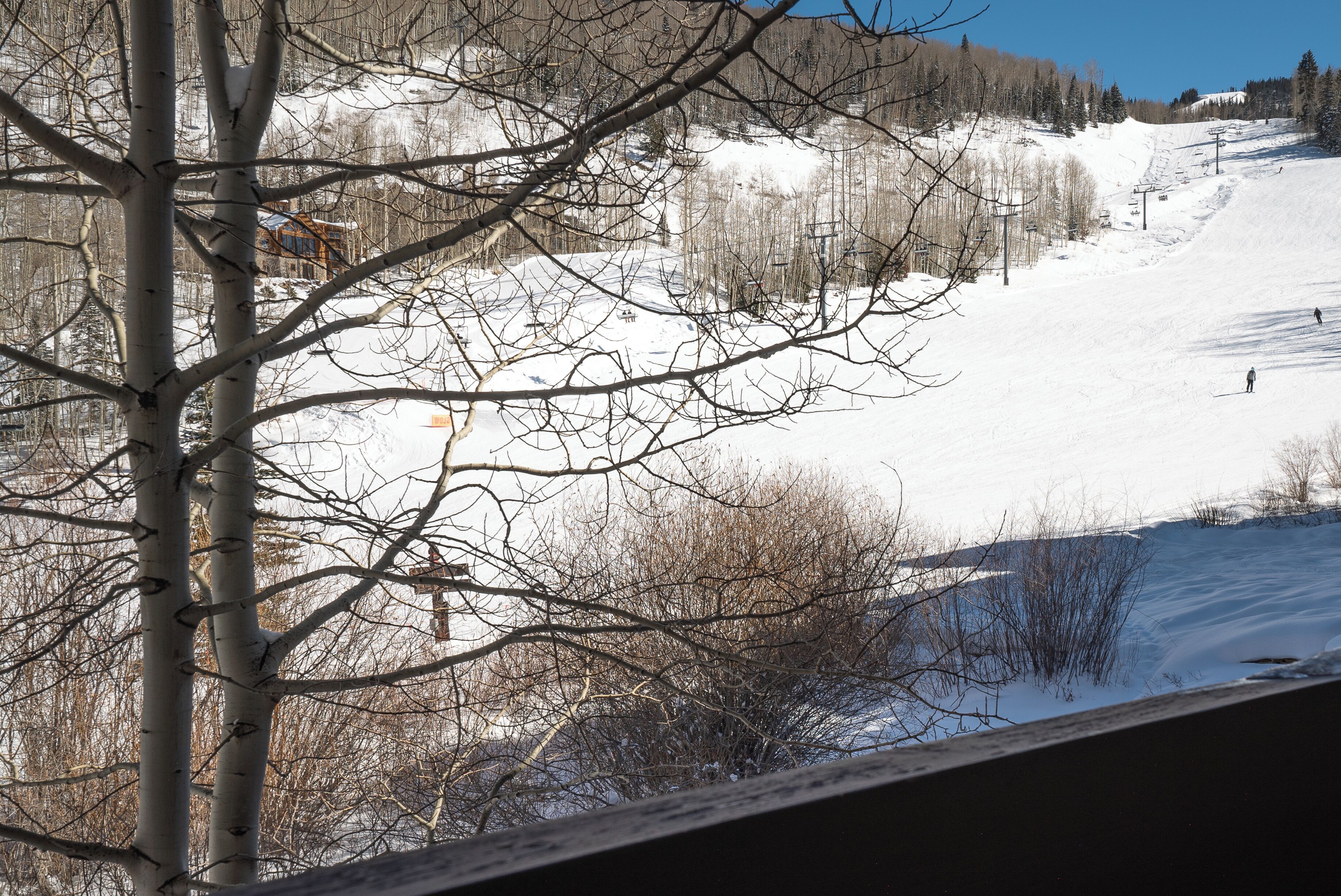A snowy mountain landscape with bare trees and a ski lift.