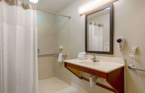 Estudio Deluxe, 1 cama doble con sofá cama, accesible para personas con discapacidad, no fumadores | Baño | Ducha y bañera combinadas y artículos de higiene personal gratuitos