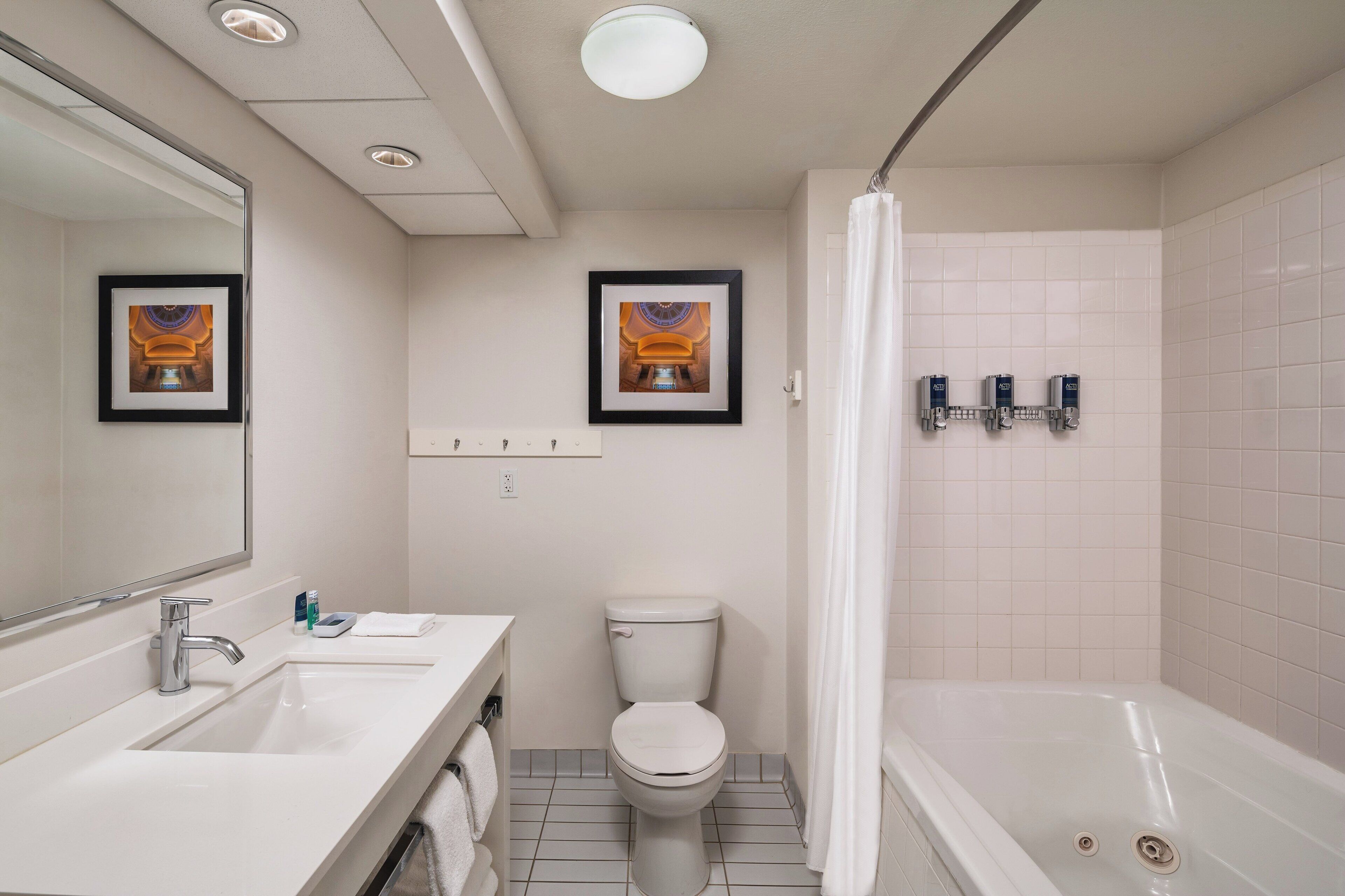 combined shower/bathtub, free toiletries, hair dryer, towels