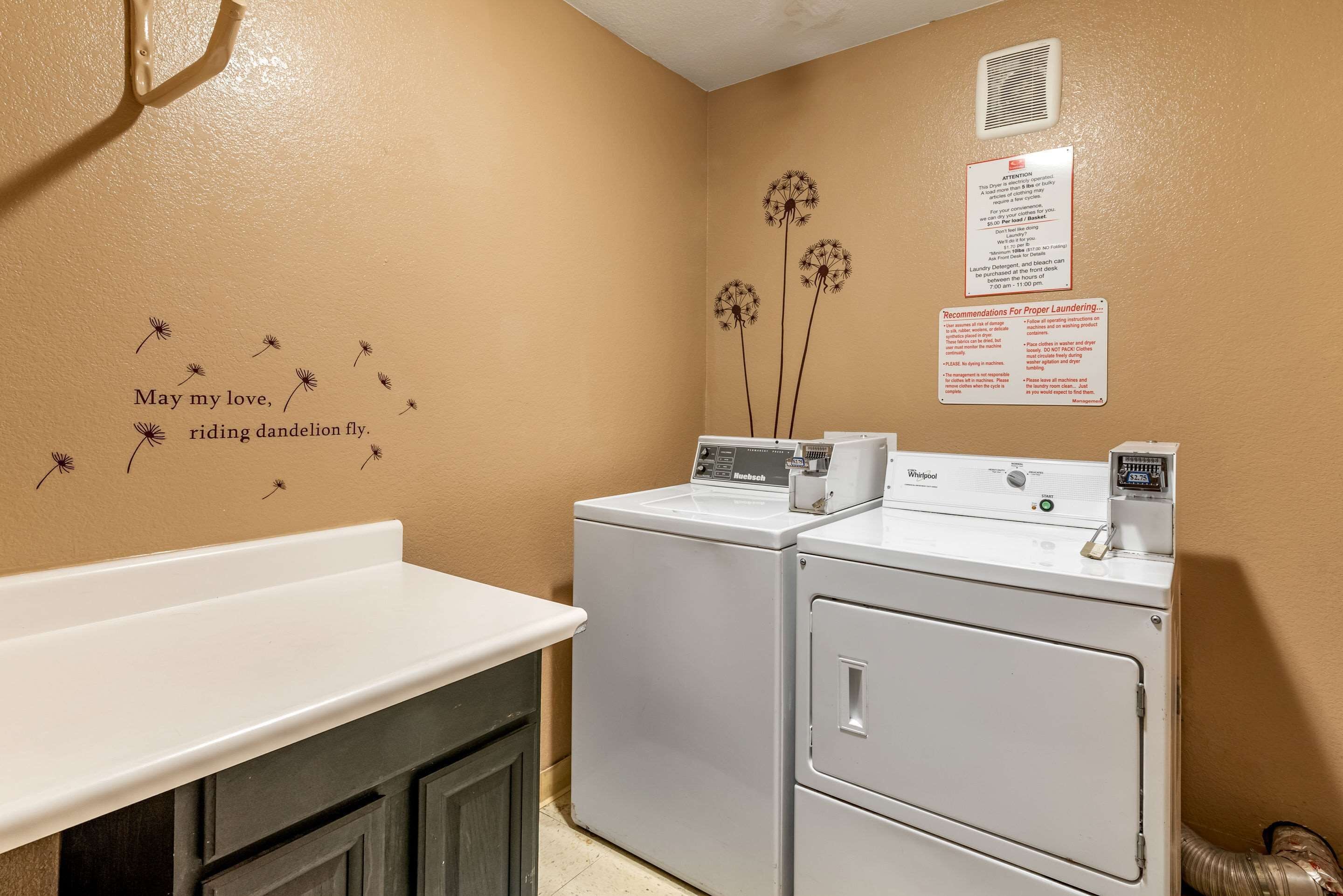 Un área de lavandería con dos lavadoras Whirlpool blancas, un lavamanos blanco y una pared decorada con un diente de león e instrucciones de lavandería.