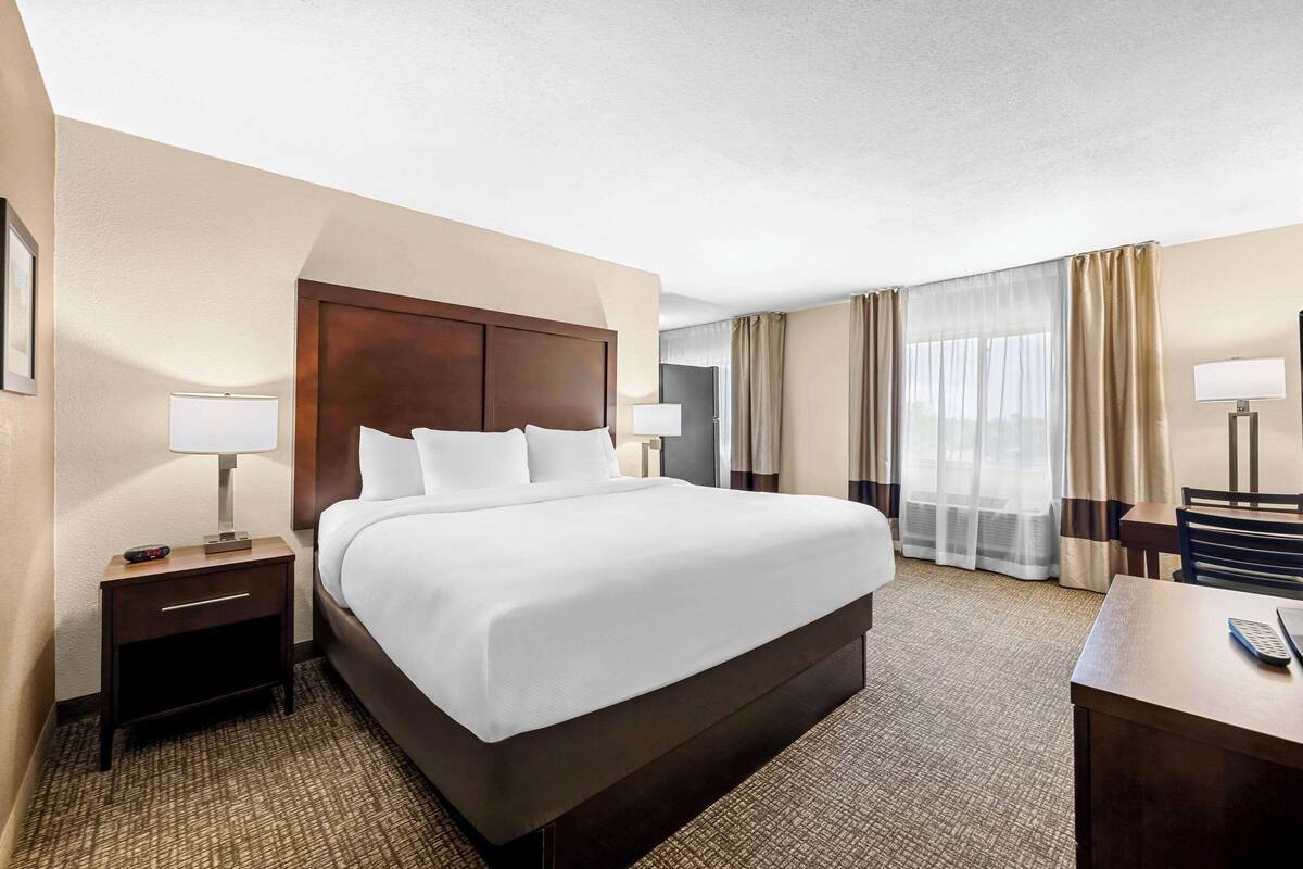 A hotel room with a large bed, a desk, a chair, a nightstand, and a lamp.