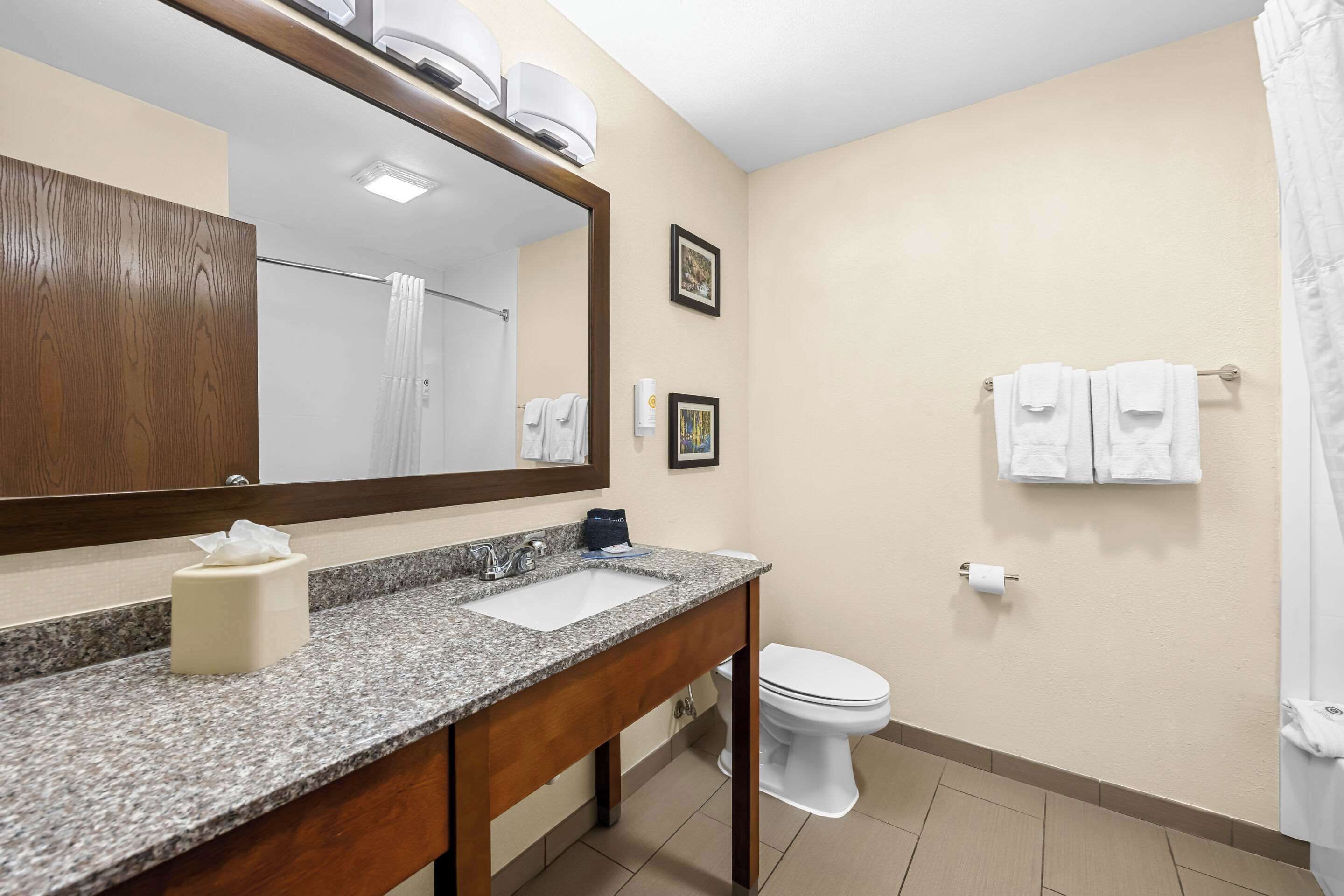 A bathroom with a granite countertop, a white sink, a mirror, a toilet, and a shower curtain.