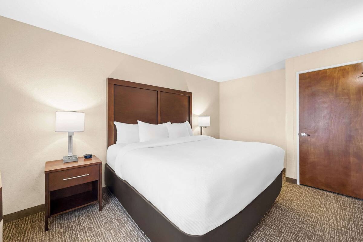 A hotel room with a large bed, two bedside tables with lamps, a wooden door, and a carpeted floor.