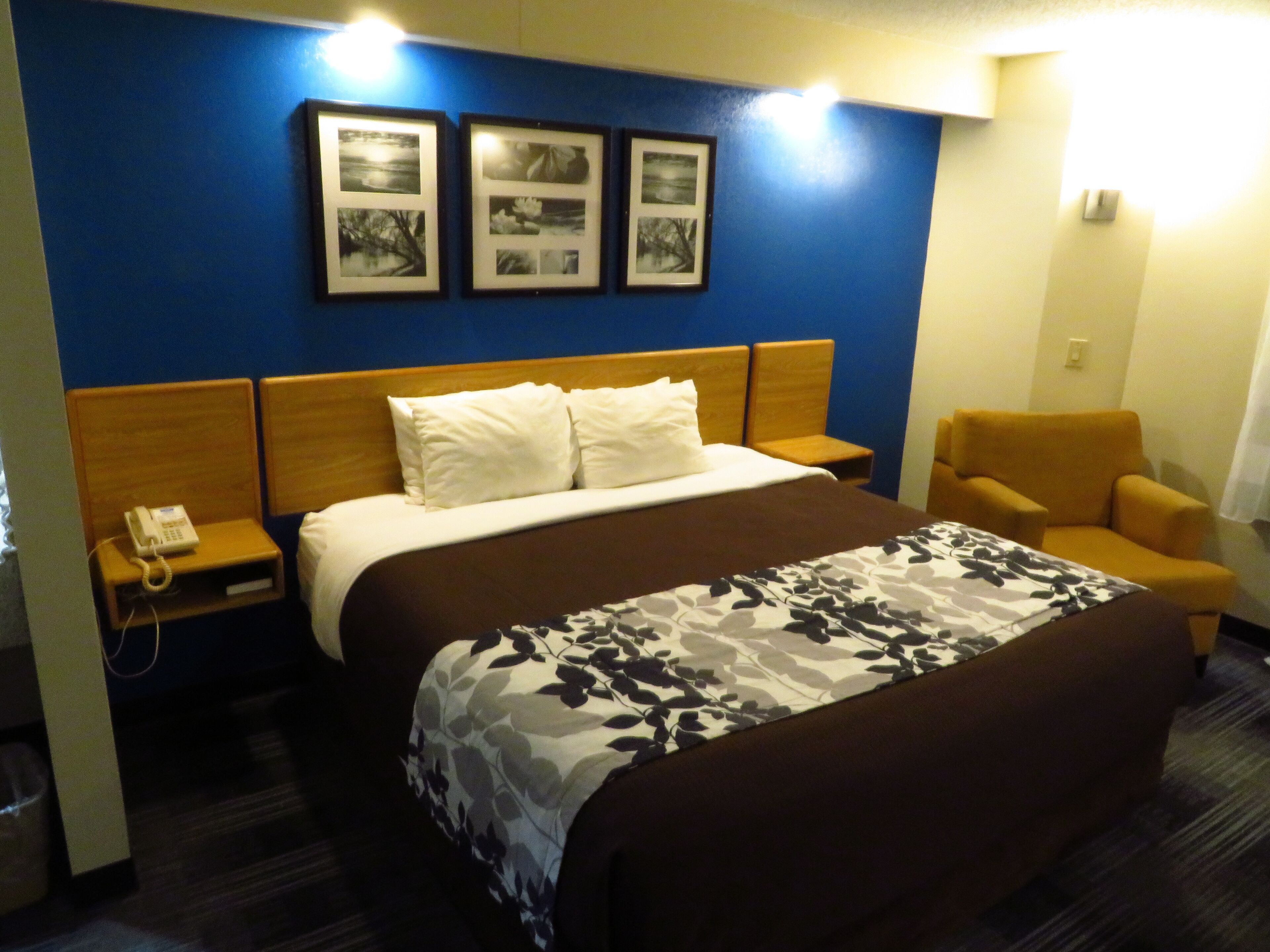 Une chambre d’hôtel avec un lit, une chaise, une table de chevet avec un téléphone et des tableaux encadrés au mur.