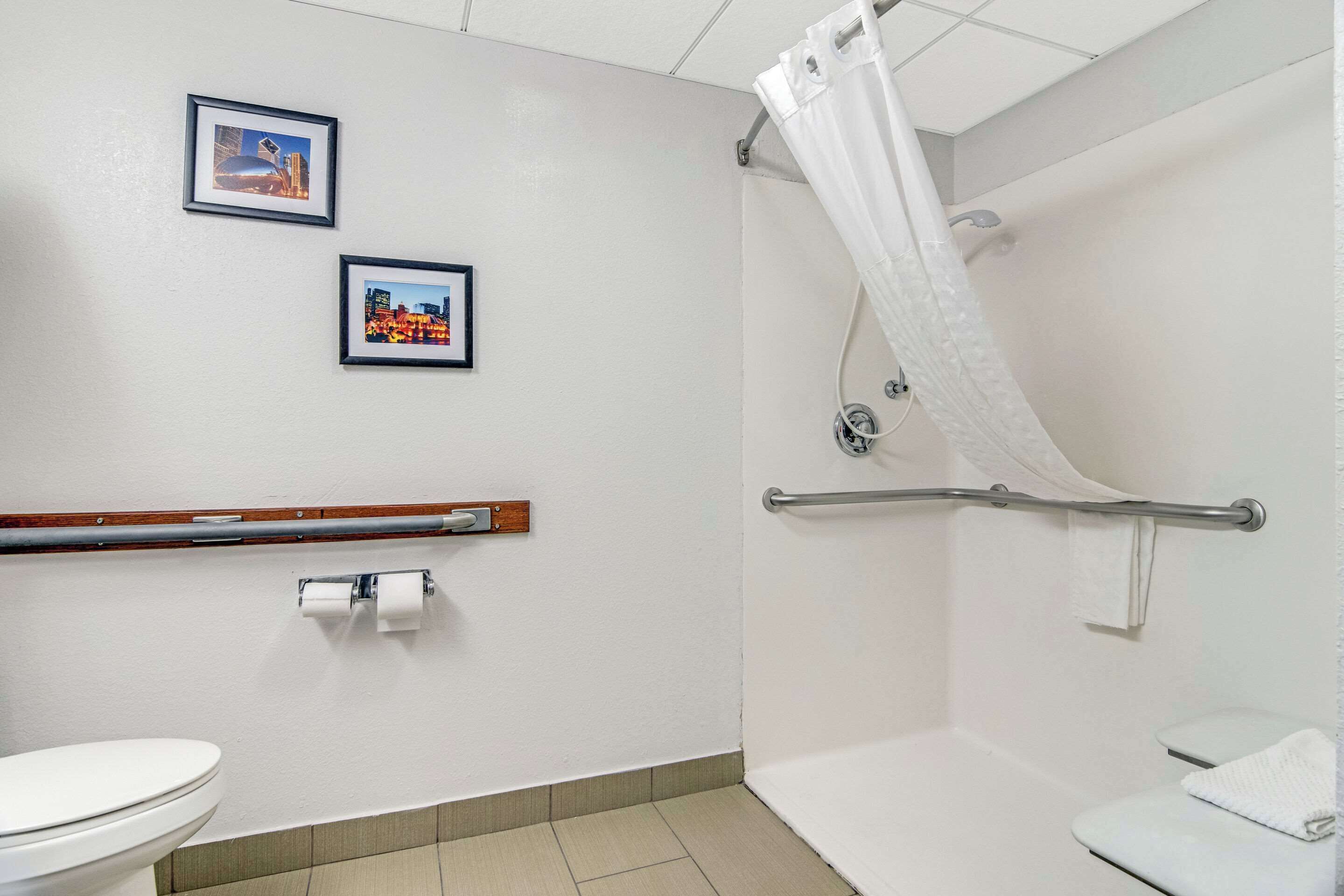 Un baño con inodoro, ducha con barra de apoyo y dos cuadros en la pared.