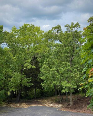 Property grounds - The Park at Foxborough Resort (Branson)