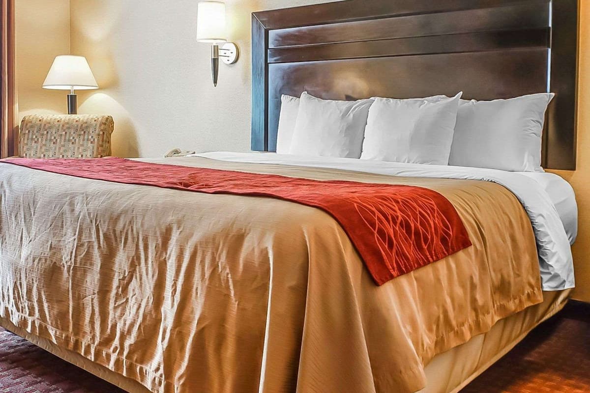 standard room, 1 king bed, non smoking | in-room safe, iron/ironing board, free wifi, alarm clocks