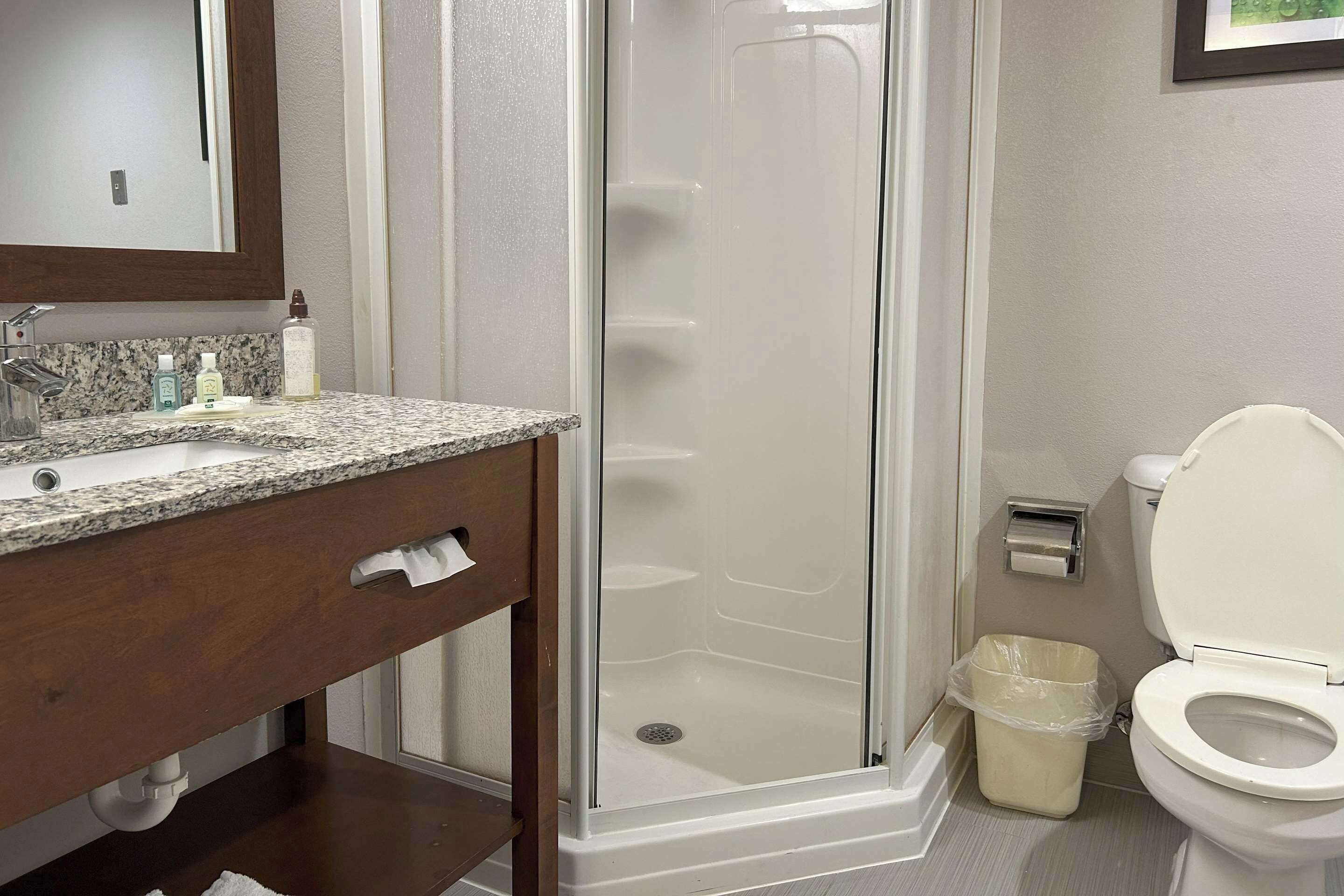 A bathroom with a granite countertop sink, a mirror, a shower enclosure, and a toilet.