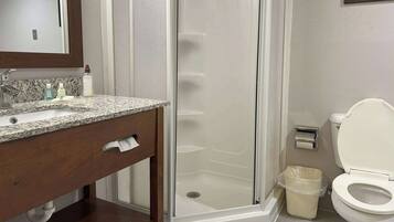 A bathroom with a granite countertop sink, a mirror, a shower enclosure, and a toilet.