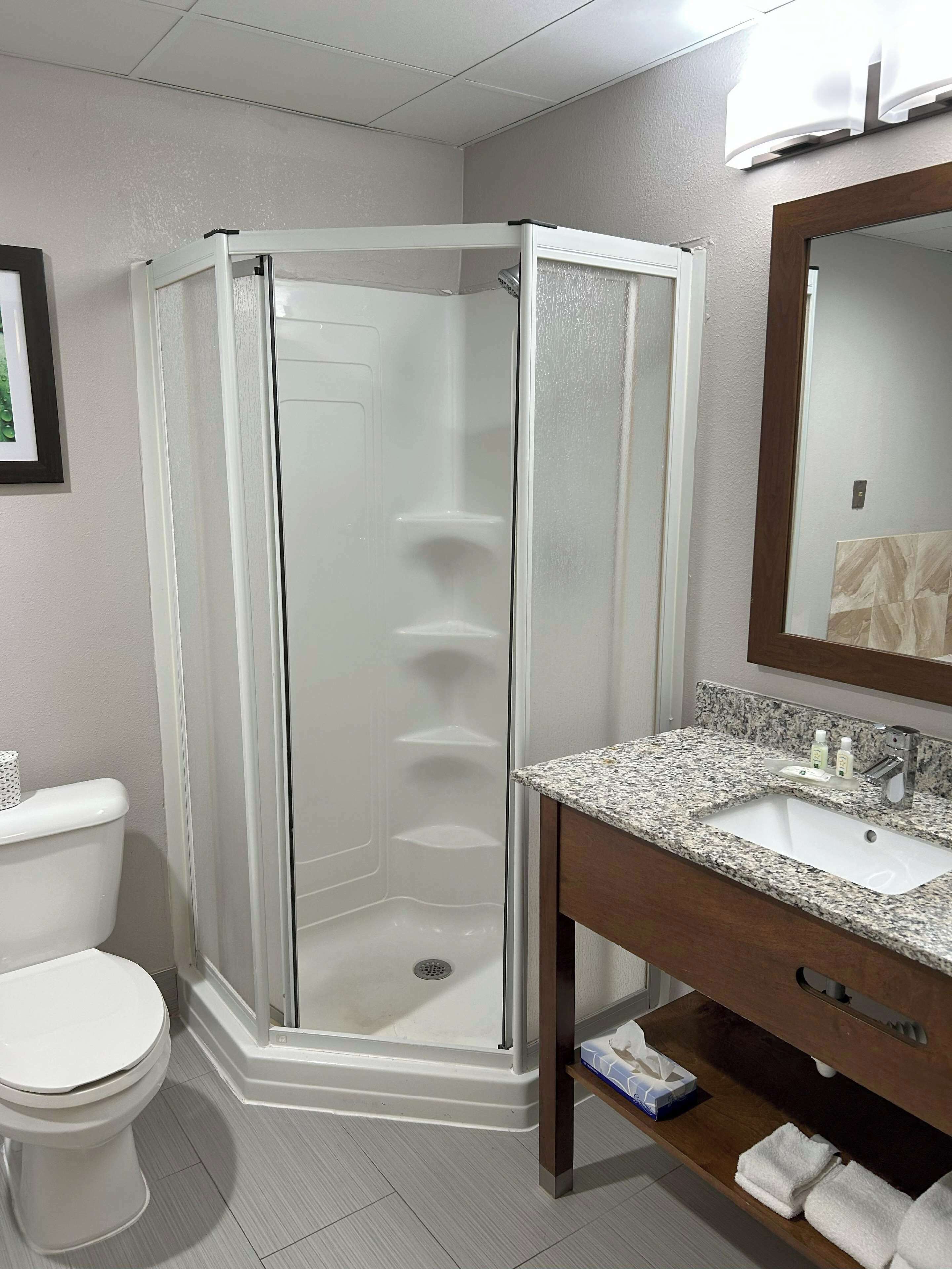 A bathroom with a white toilet, a shower enclosure, a granite countertop sink, and a mirror.