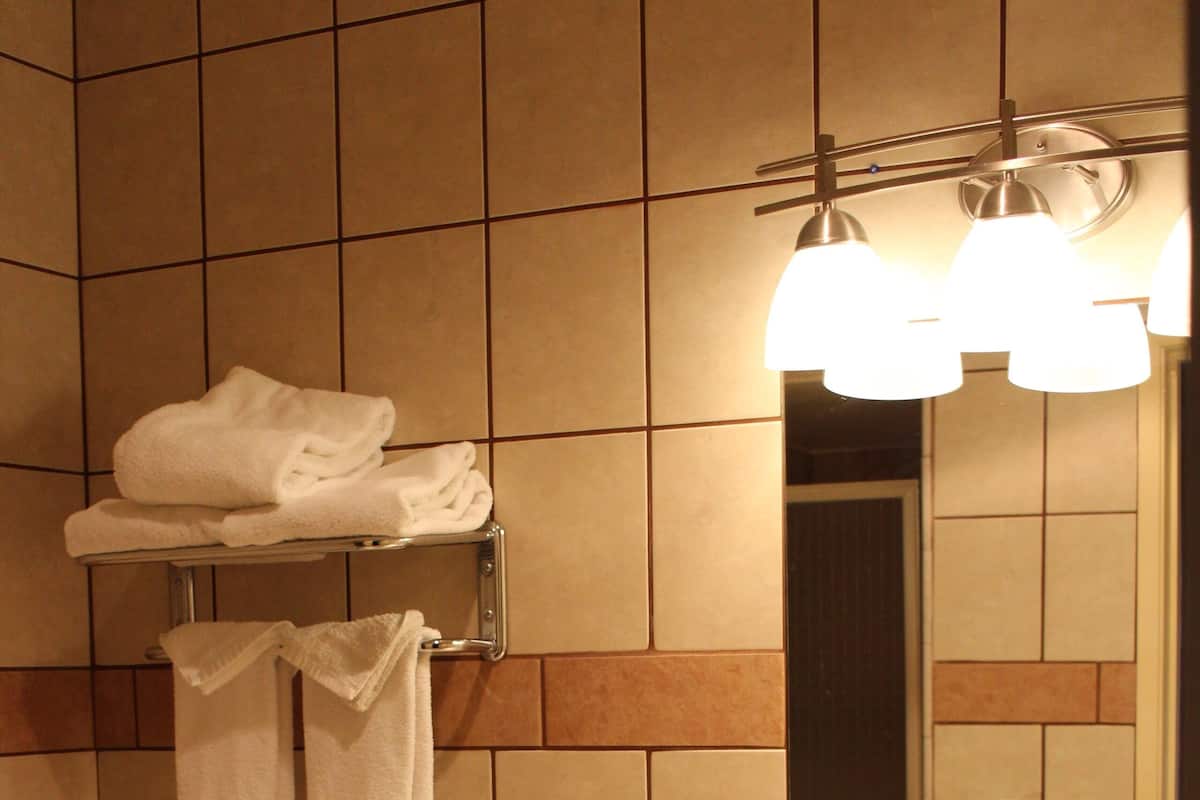 Duschwanne, kostenlose Toilettenartikel, Haartrockner, Handtücher