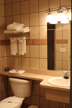 Combined shower/bathtub, free toiletries, hair dryer, towels