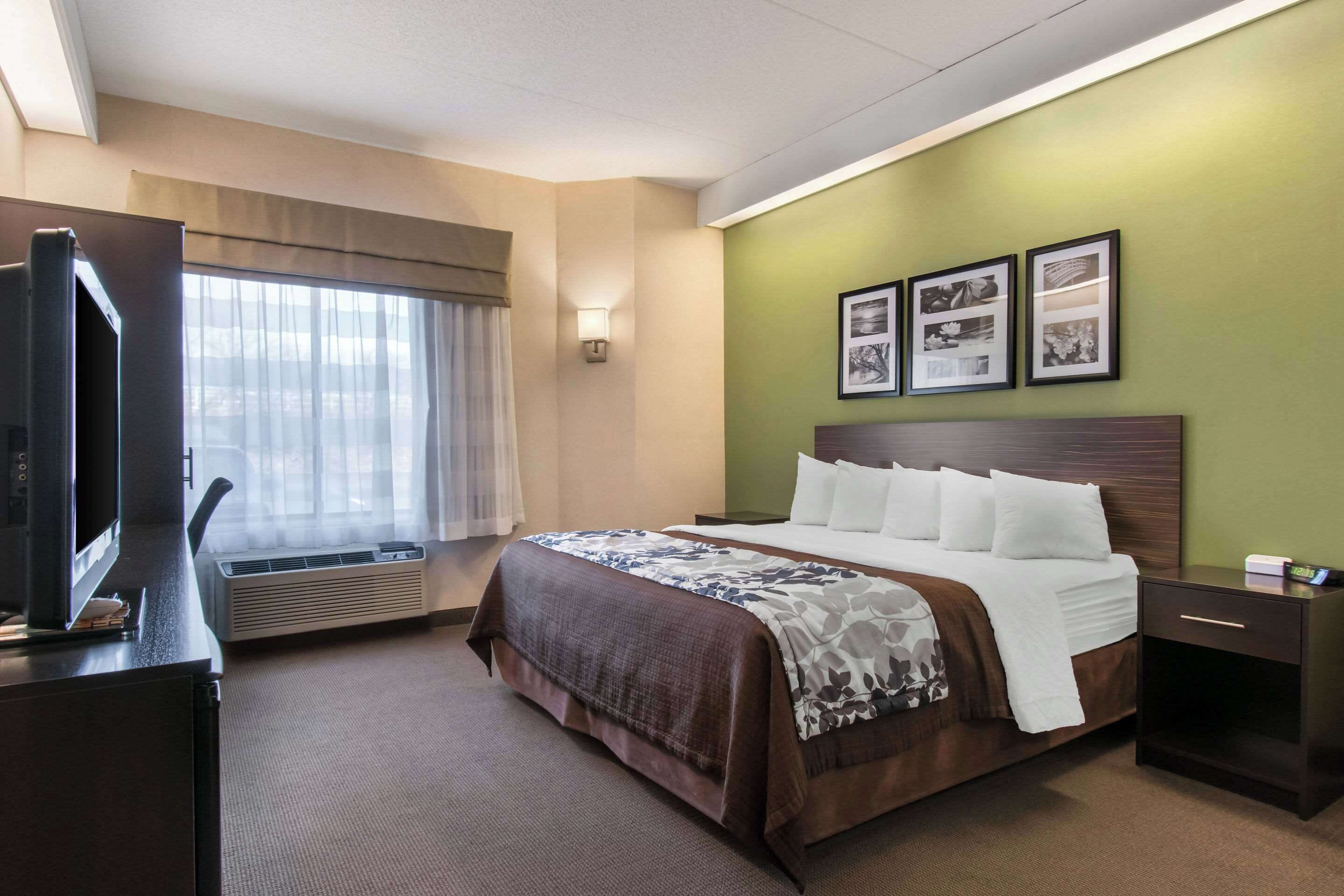 Standard Room, 1 King Bed, Non Smoking | Desk, iron/ironing board, free cribs/infant beds, rollaway beds