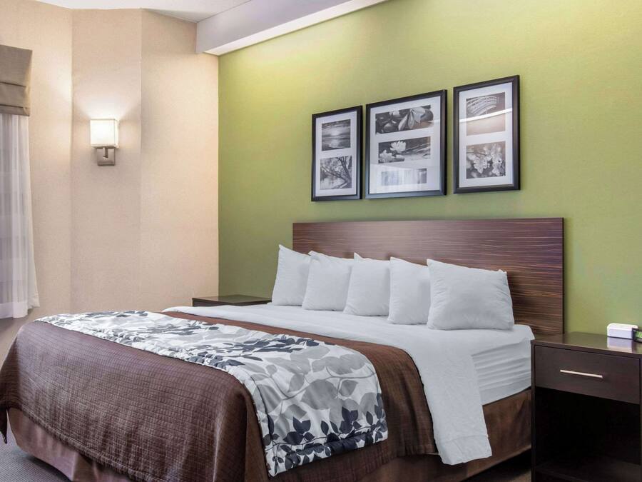 Standard Room, 1 King Bed, Non Smoking | Desk, iron/ironing board, free cribs/infant beds, rollaway beds