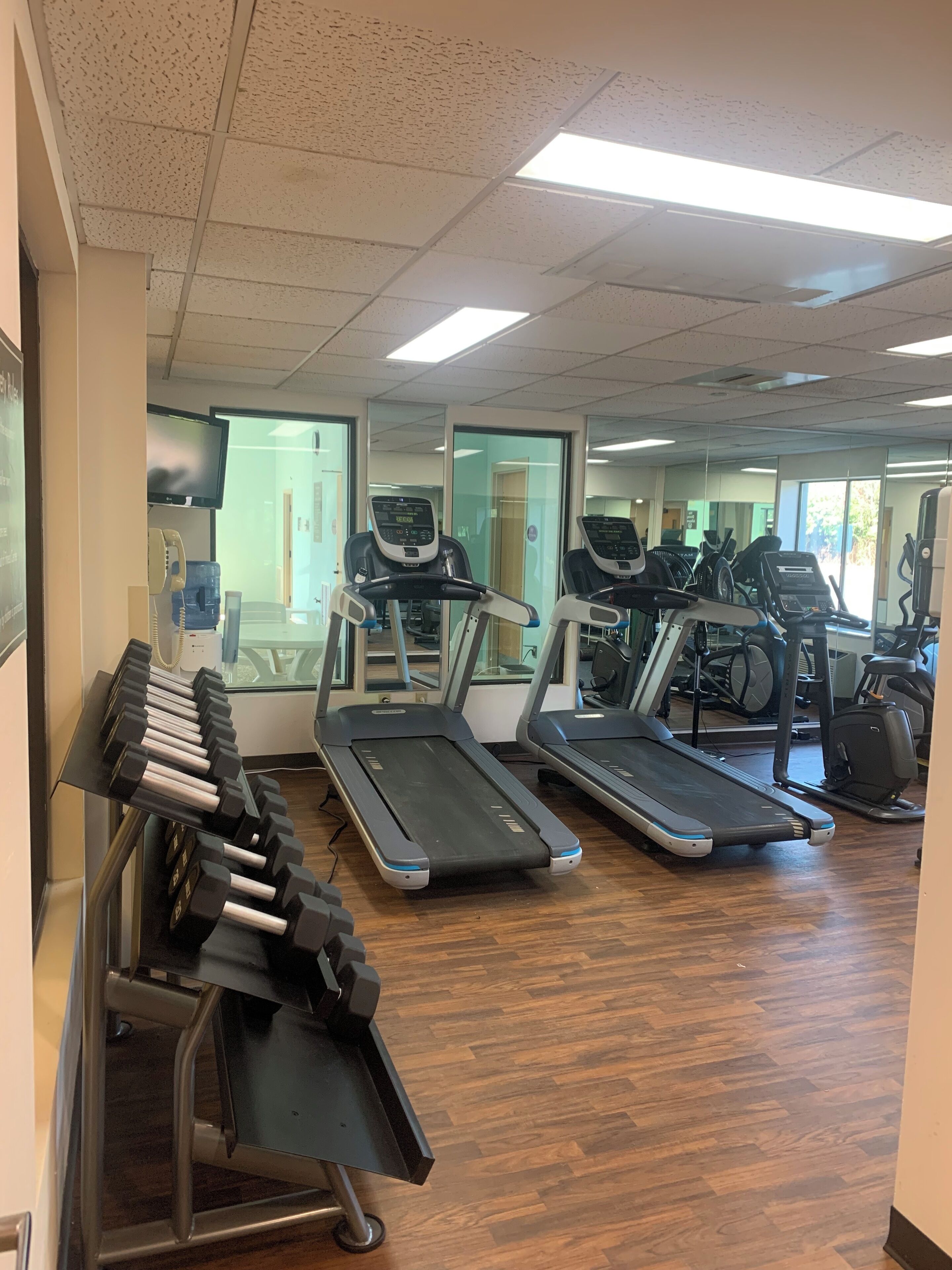 A gym with treadmills, ellipticals, and a rack of dumbbells.