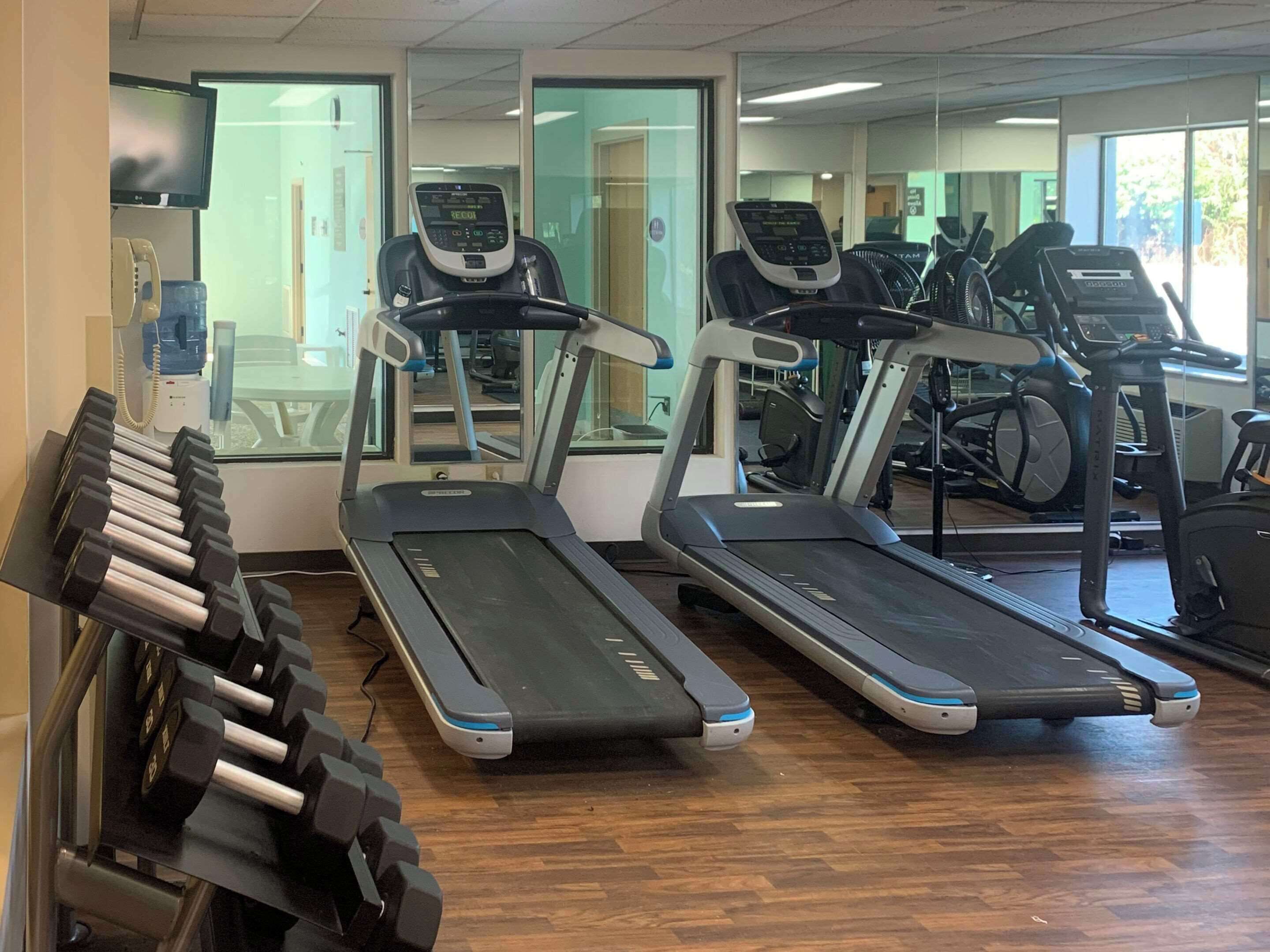 A gym with treadmills, dumbbells, and exercise equipment.