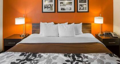 Sleep Inn Nashville - Brentwood - Cool Springs
