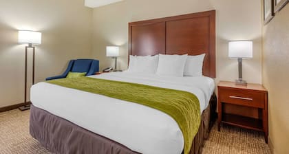 Comfort Inn Lenoir City-Knoxville