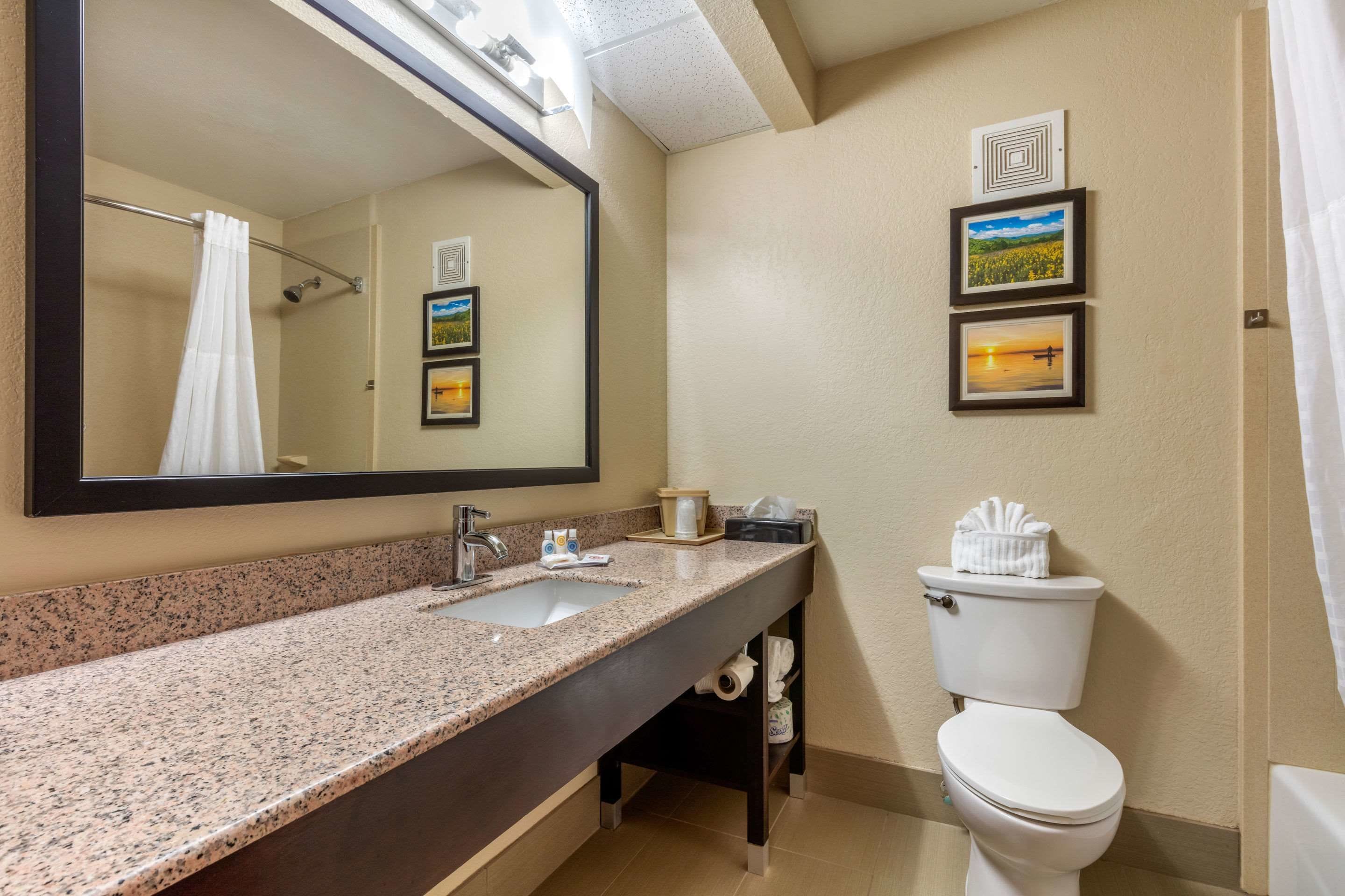 suite, multiple beds, non smoking | bathroom | combined shower/bathtub, hydromassage showerhead, free toiletries