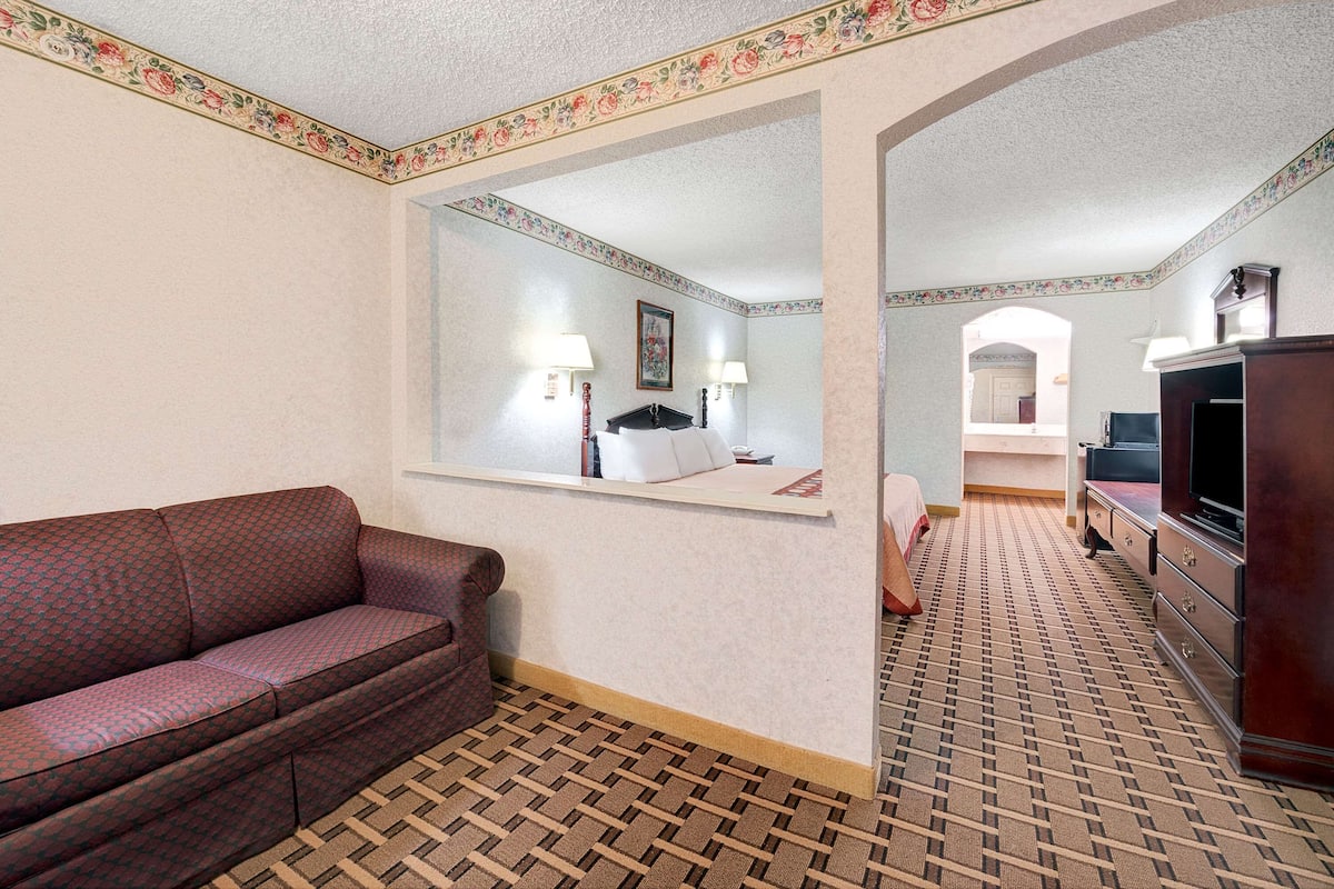 Habitación de hotel con alfombra estampada, un sofá, un televisor y un espejo que refleja la habitación.