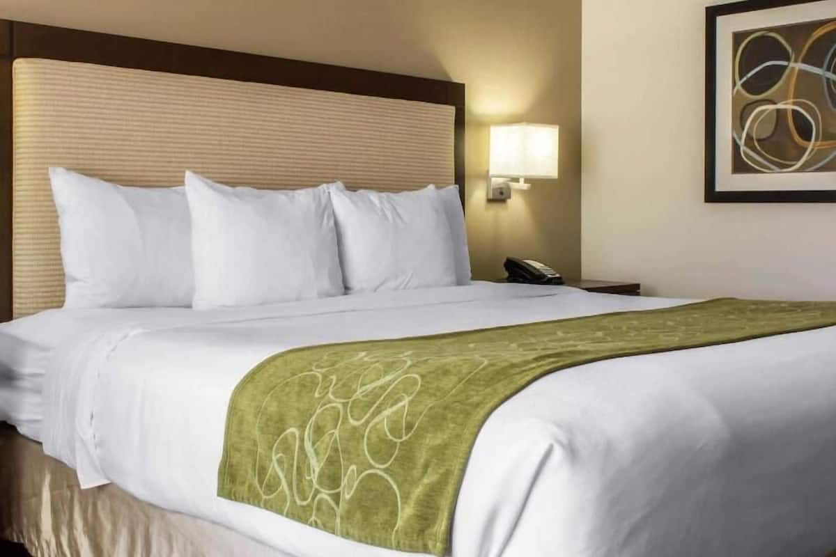 Premium bedding, desk, laptop workspace, blackout drapes