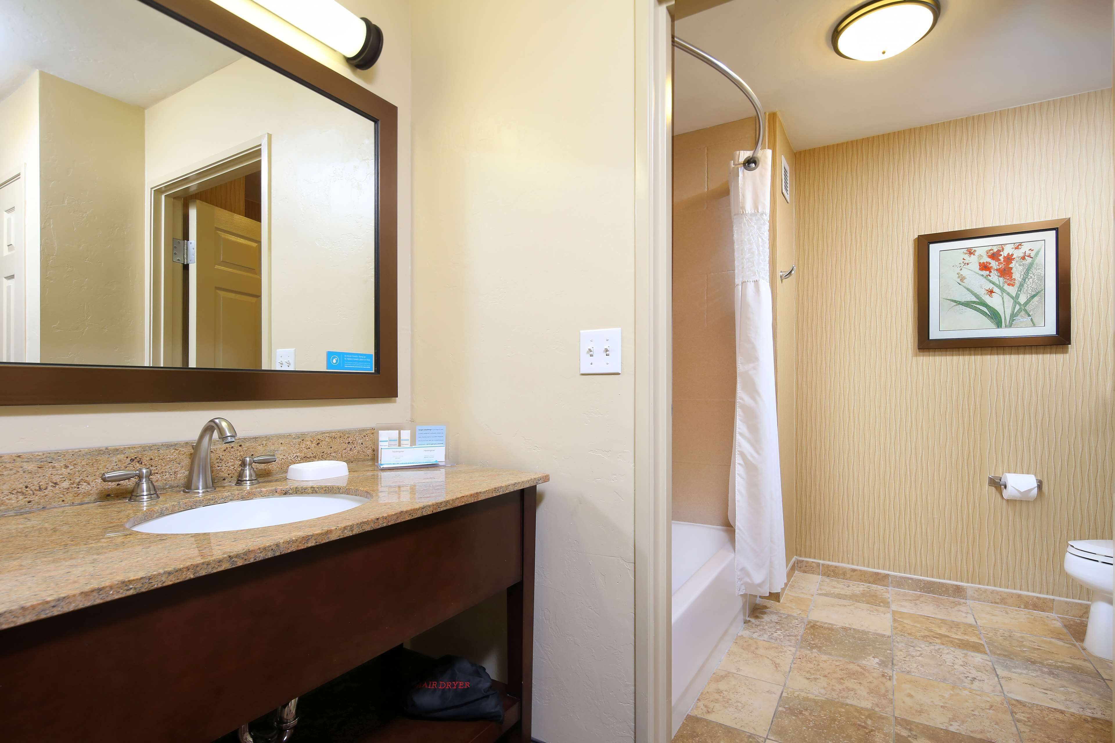 A bathroom with a sink, mirror, shower, toilet, and a framed picture on the wall.