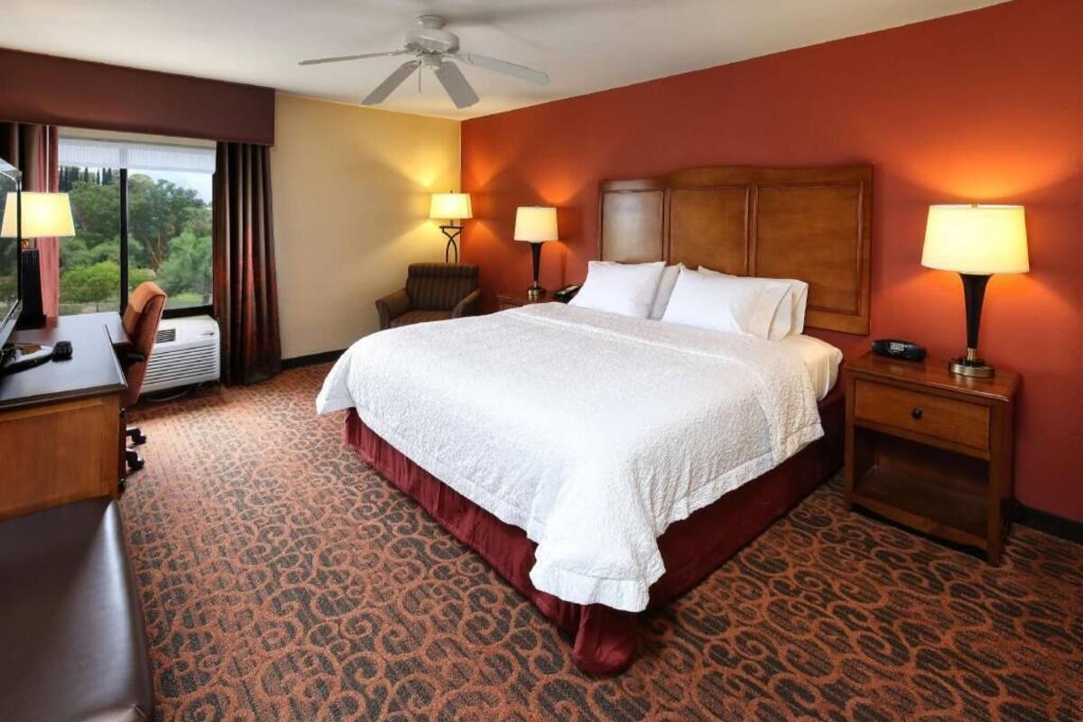 Une chambre d’hôtel avec un grand lit, deux lampes de chevet, un bureau avec une lampe, une chaise et une vue sur les arbres par la fenêtre.