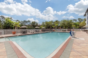 Outdoor pool, sun loungers