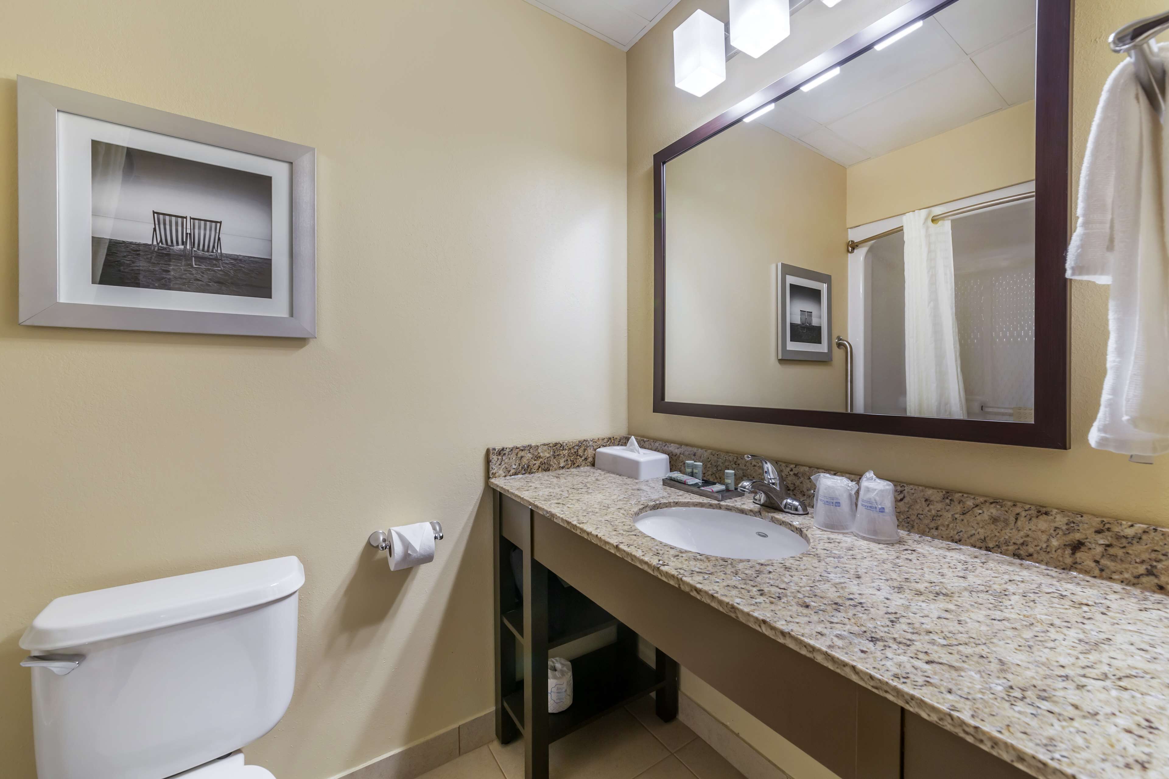 Un bagno con il water, un lavandino, uno specchio e un quadro incorniciato appeso al muro.