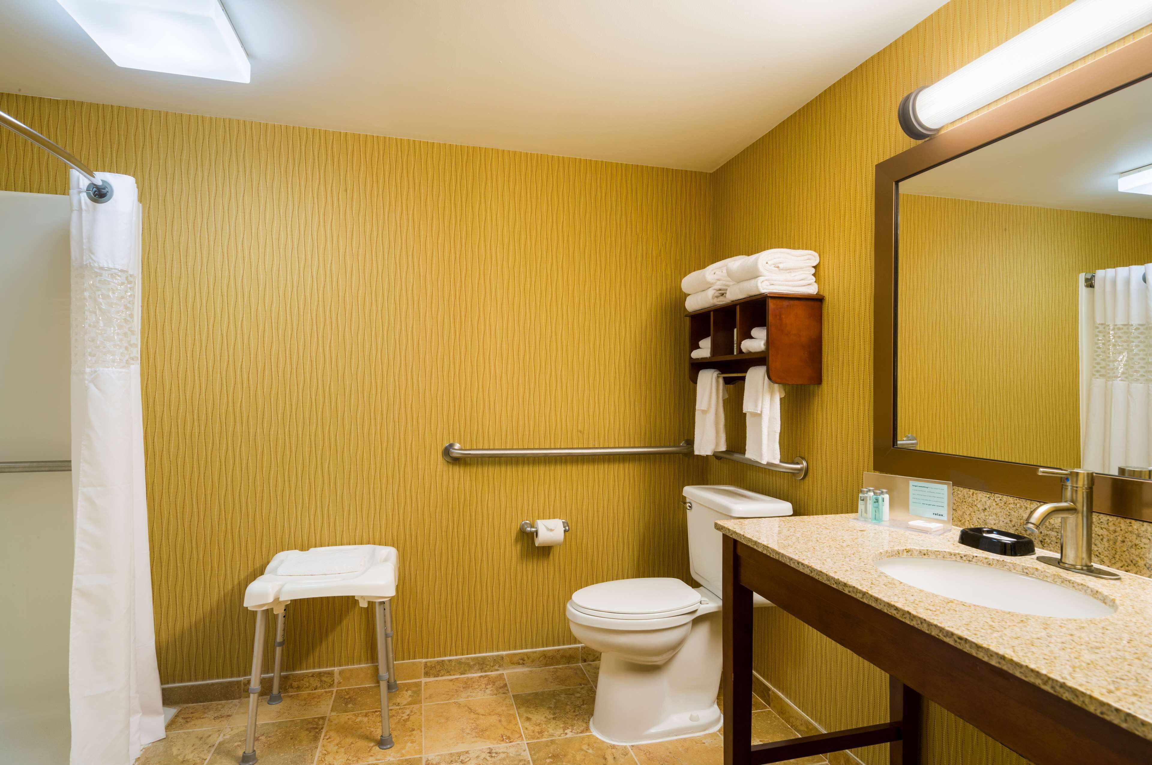 room, 1 king bed, accessible, non smoking | bathroom shower