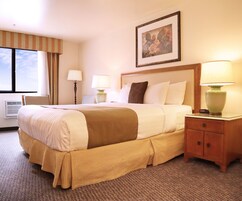 Quarto standard, 1 cama King | Vista do quarto