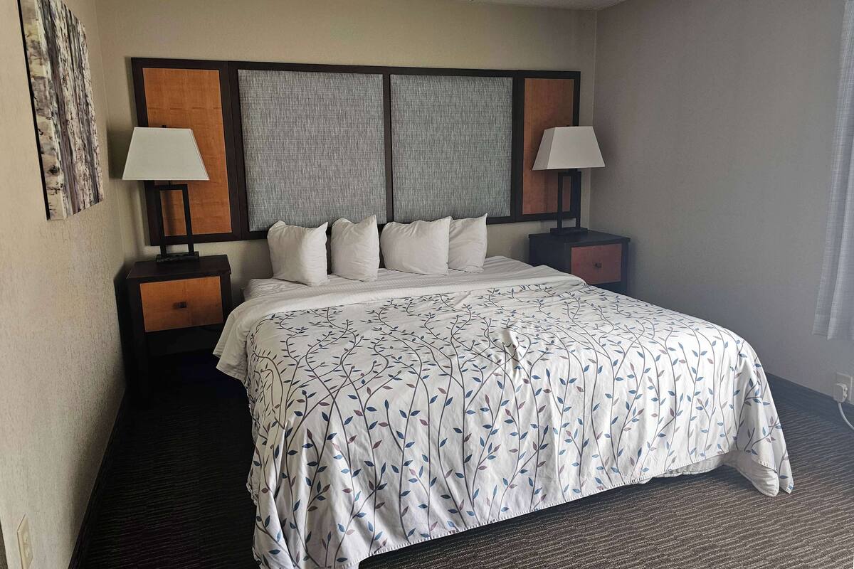 A hotel room with a large bed, two bedside tables with lamps, a headboard with a textured panel, and a carpeted floor.