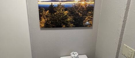 Un baño con inodoro, ducha y un cuadro de un paisaje al atardecer en la pared.