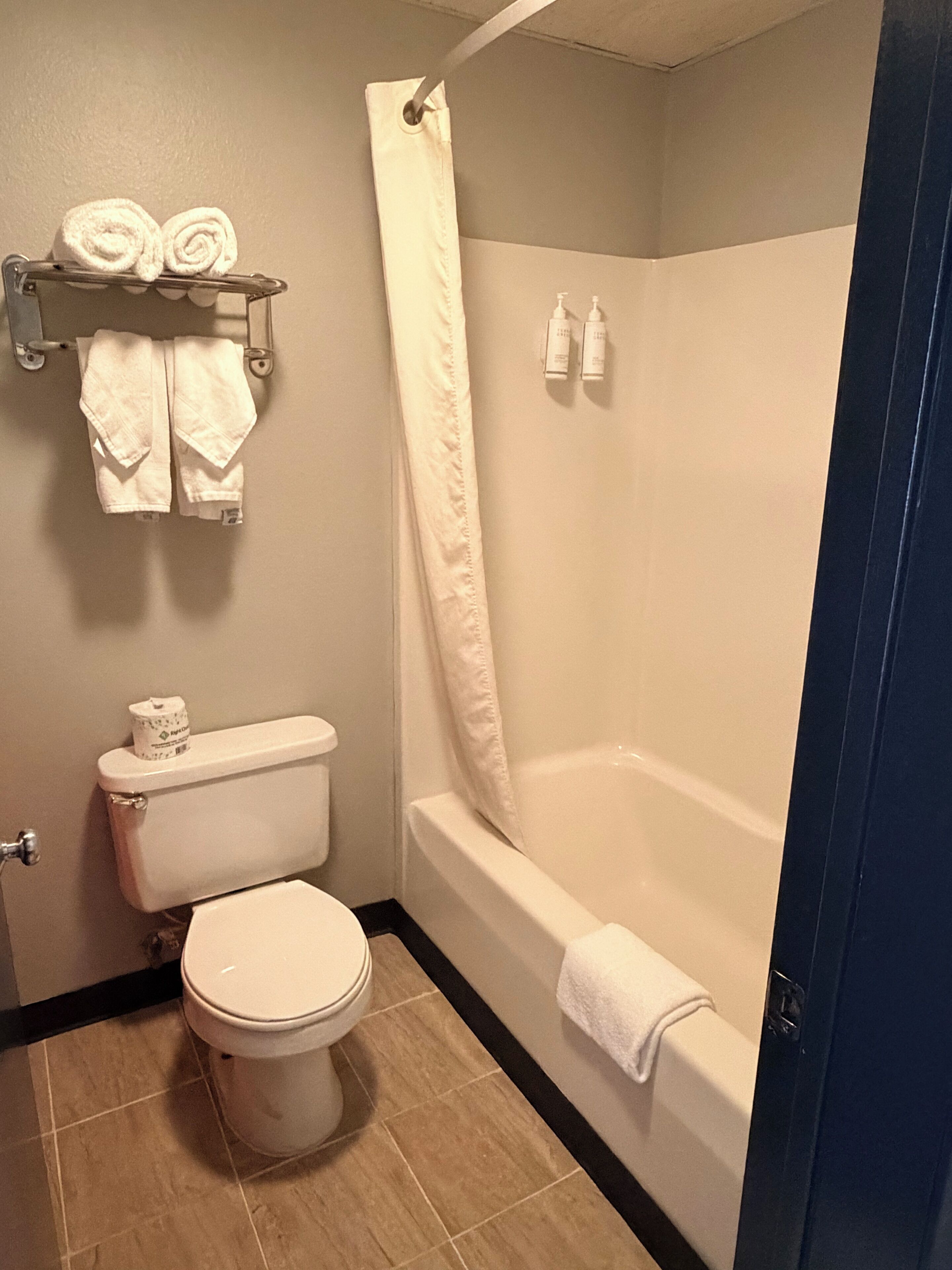 Suite, 1 King Bed with Sofa bed, Non Smoking | Bathroom | Combined shower/tub, free toiletries, hair dryer, towels