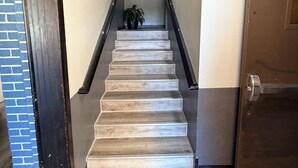 Un escalier avec une rampe, une porte sur la droite et une plante en haut.