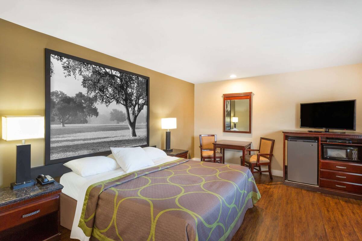 A hotel room with a bed, a desk, a television, a refrigerator, and a large framed picture on the wall.