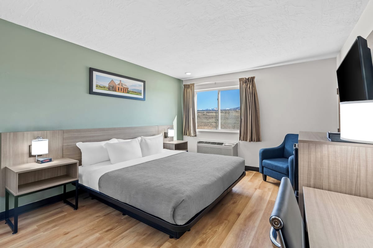 Kamer, 1 kingsize bed, toegankelijk voor mindervaliden, niet-roken | Een bureau, verduisterende gordijnen, een strijkplank/strijkijzer