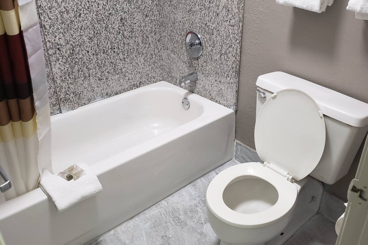 Une salle de bain avec une baignoire blanche, des toilettes et un espace douche.