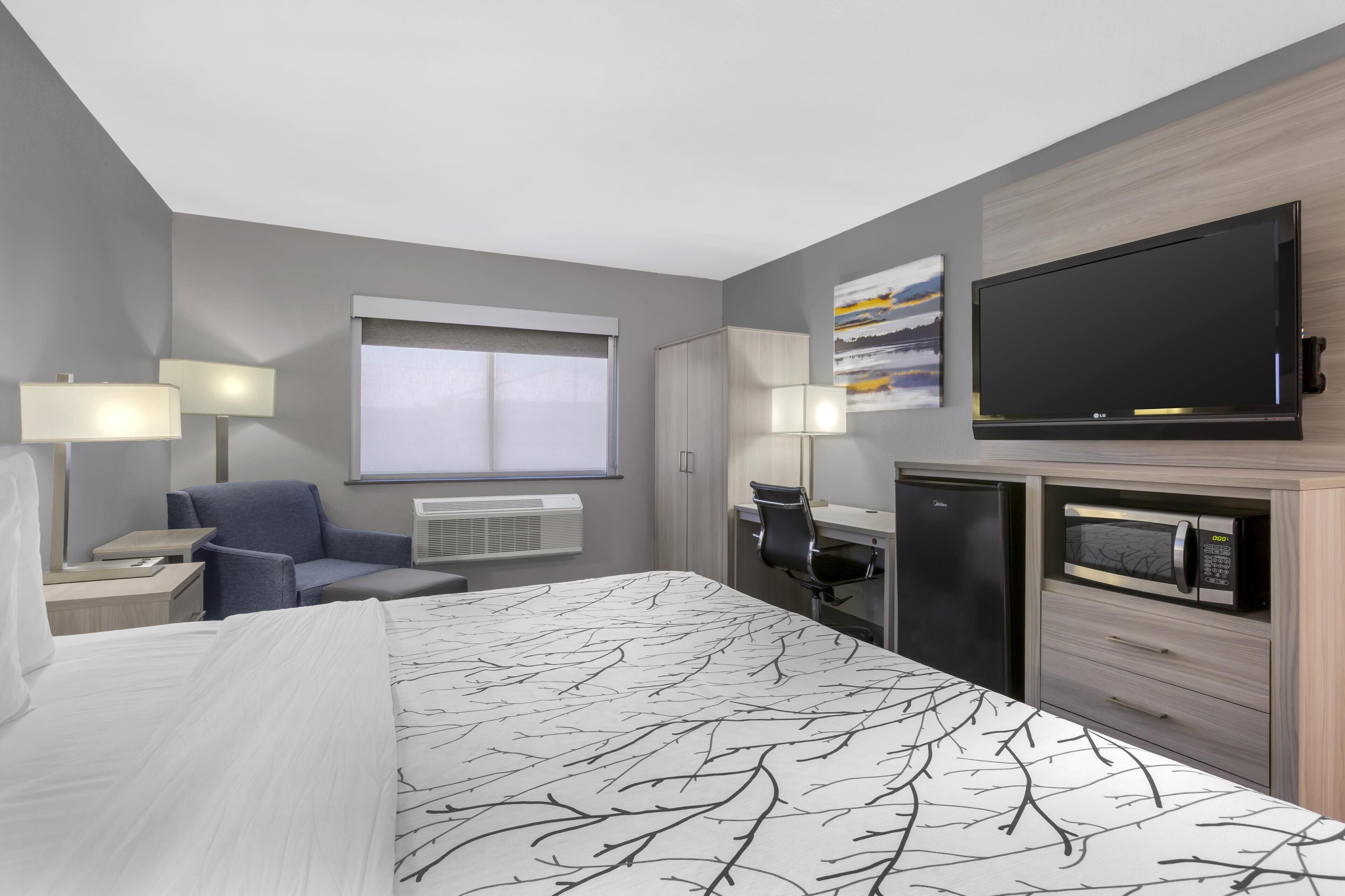 A hotel room with a bed, a desk, a chair, a TV, a microwave, and a window.