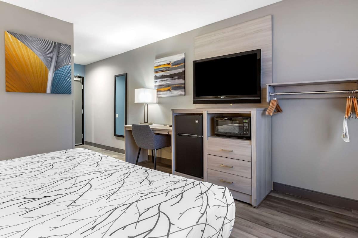 A hotel room with a bed, desk, chair, TV, microwave, and a coat rack.