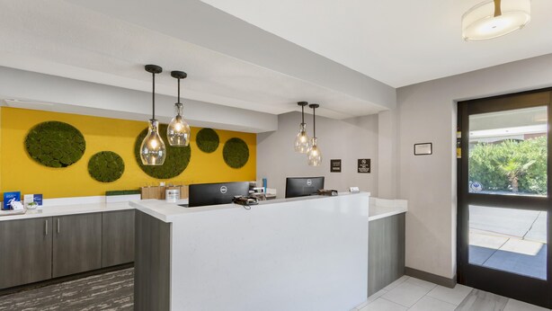 A reception area with a white counter, two computer monitors, and a yellow wall with circular green decorations.