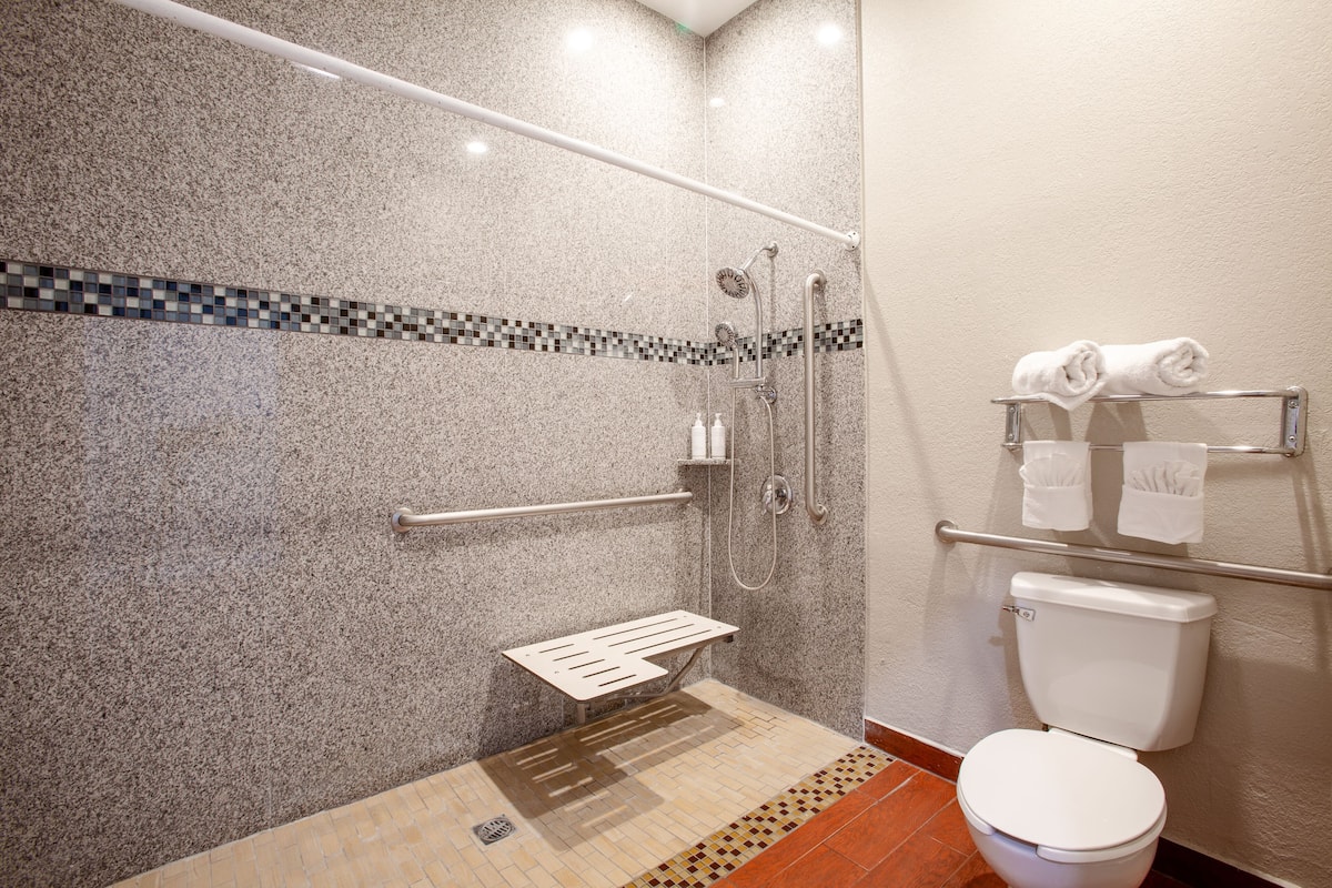 A modern bathroom with a shower, toilet, and grab bars.