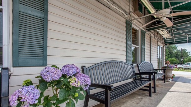 A covered porch with two black benches, a potted hydrangea plant, and a ceiling fan. - Rodeway Inn Asheville (Asheville)