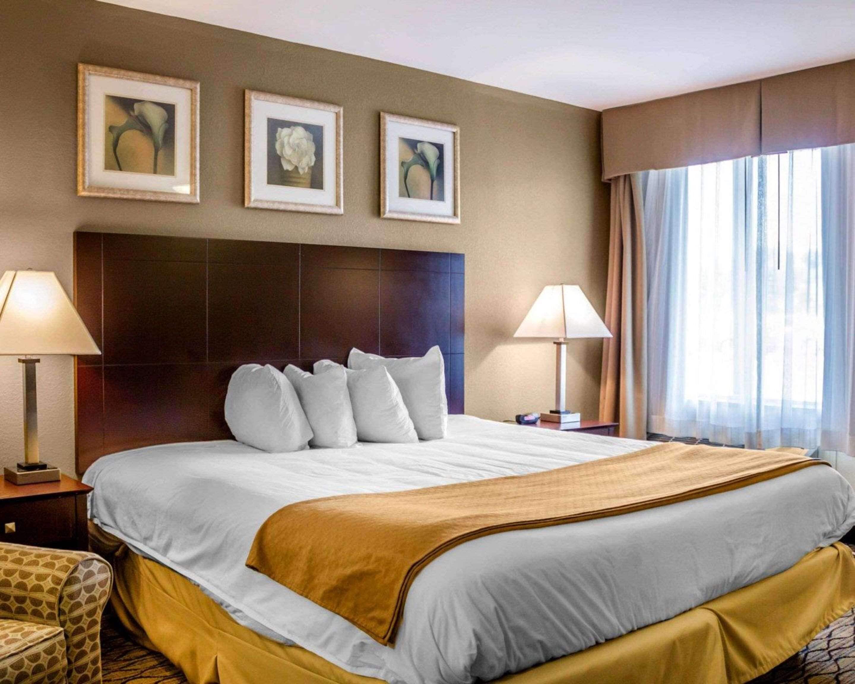 A hotel room with a large bed, two bedside lamps, a headboard, and three framed floral paintings on the wall.