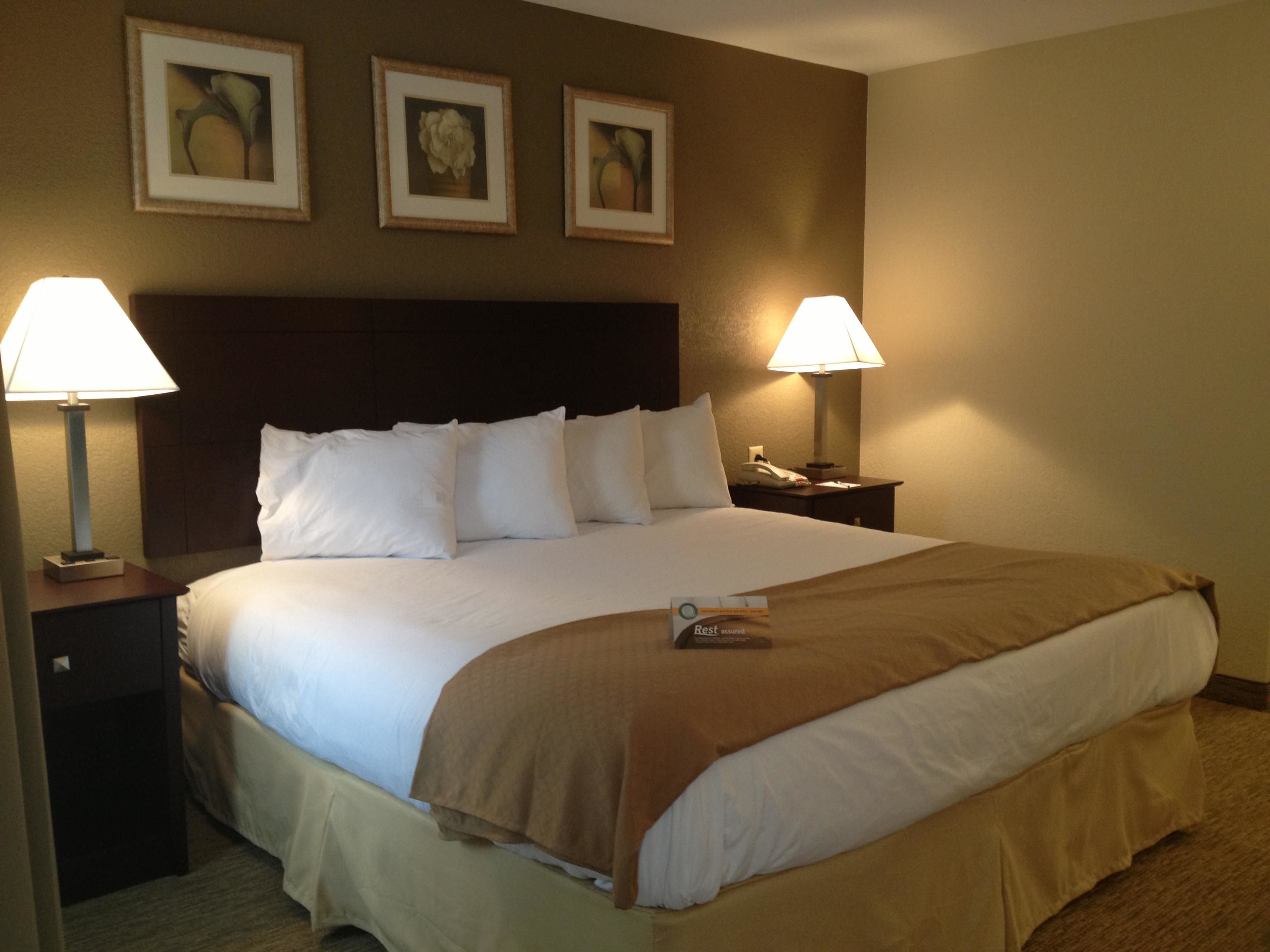 A hotel room with a large bed, two bedside tables with lamps, and three framed pictures on the wall.
