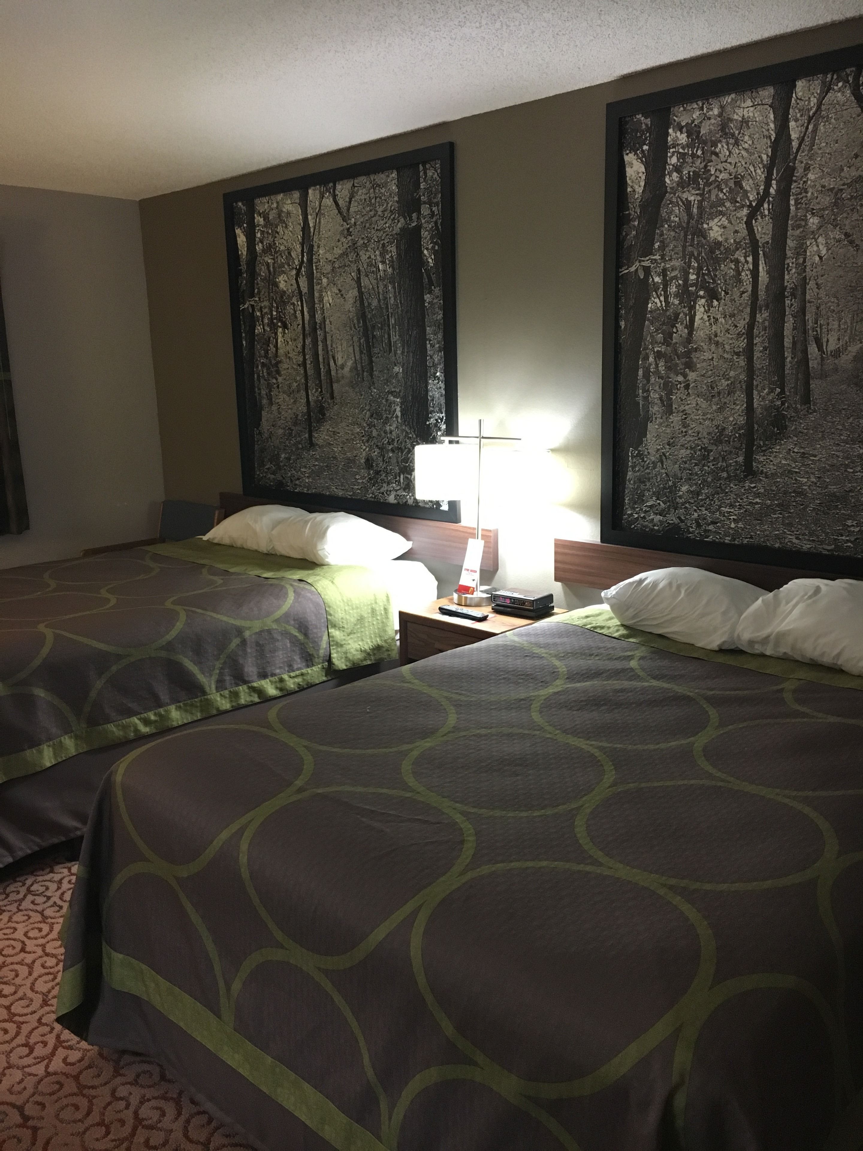 Ett hotellrum med två sängar, var och en med ett mönstrat sängöverkast, ett nattduksbord med en lampa och en stor, inramad tavla med ett skogsmotiv på väggen.