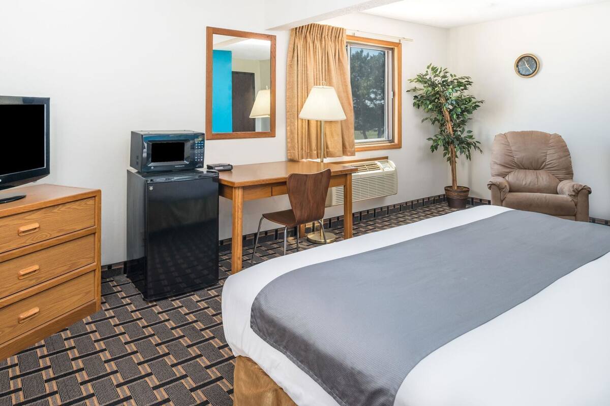 Een hotelkamer met een bed, een bureau, een stoel, een televisie, een magnetron, een plant en een klok.